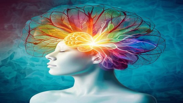 밤의 기적: 수면이 우리 몸에 선사하는 놀라운 회복과 젊음