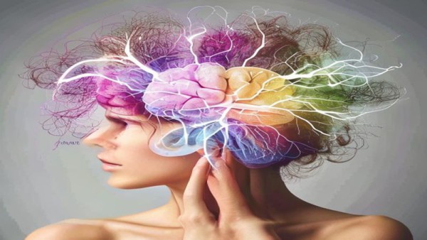 영양제, 맹목적인 믿음을 넘어: 현명한 소비자를 위한 제품 선택과 품질 검증 가이드