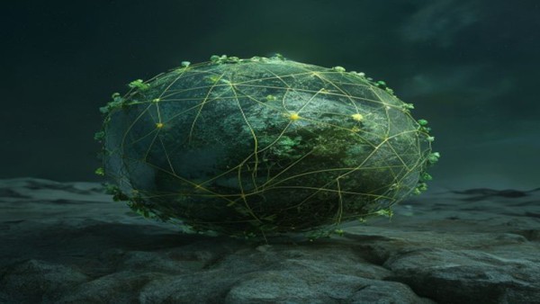 탄소 지능형 소프트웨어가 여는 친환경 연산의 세계