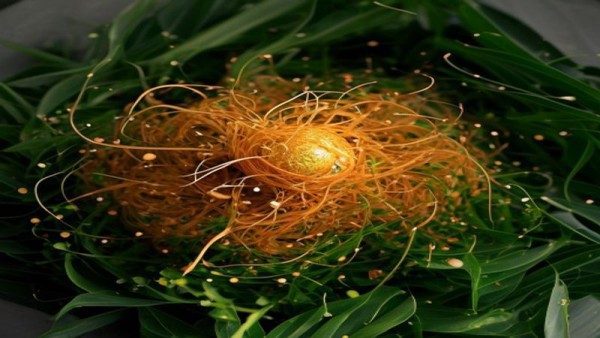 인터페이스의 소멸, 공간 컴퓨팅이 재설계하는 인간의 감각과 일상