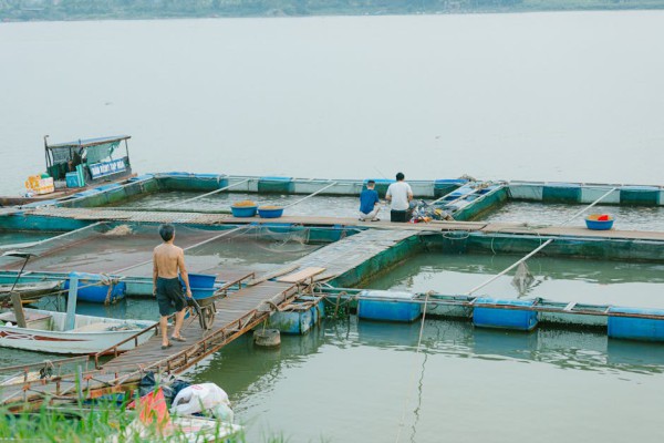 통장에서 야금야금 빠져나가는 돈, 이거 다 끊었더니 벌어진 일