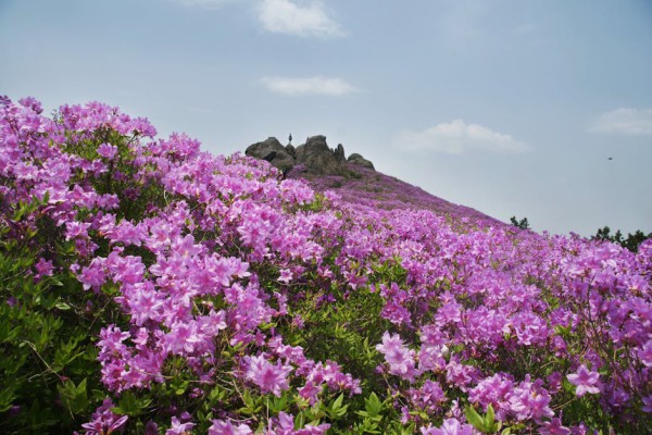 이사정산서류정리