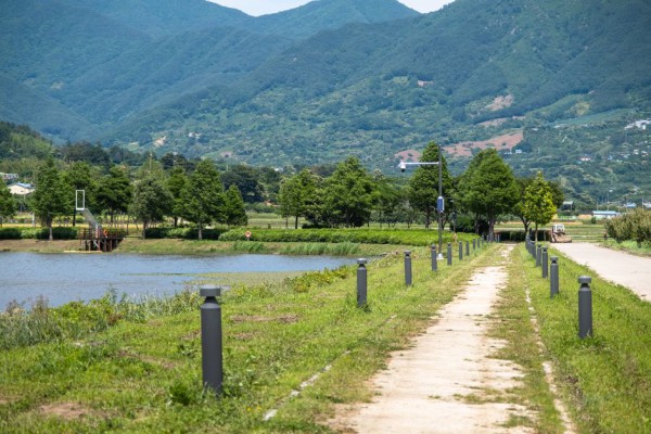 가벼운산책운동