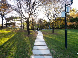 운동해도 살 안 빠지는 사람, 뇌가 지방 연소를 막는 …