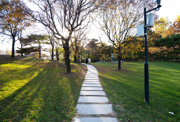 공원에서 걷는 사람