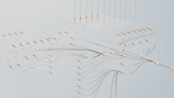 뇌의 시간 블라인드 스팟 개념도