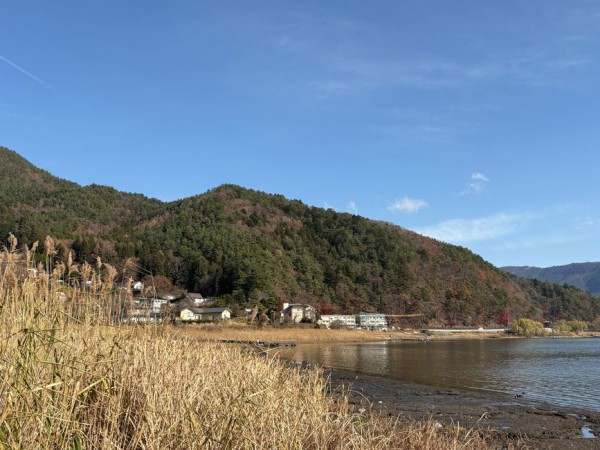 사회/이슈